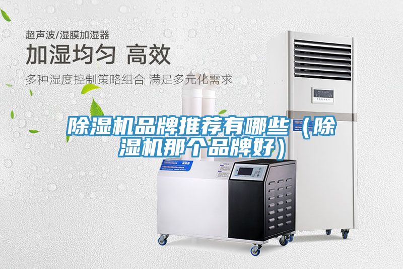 除濕機品牌推薦有哪些(除濕機那個品牌好)