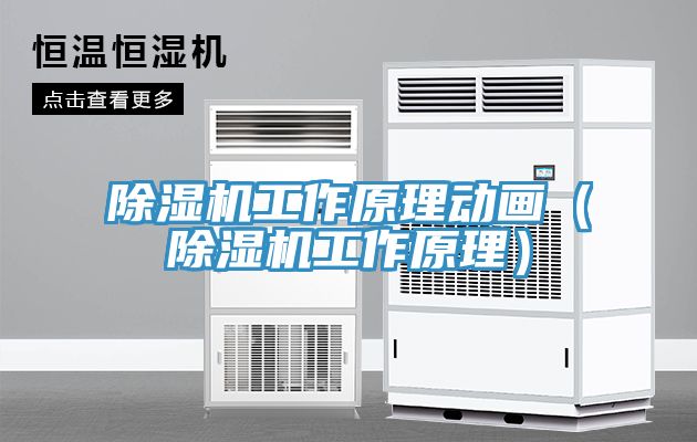 除濕機工作原理動畫(除濕機工作原理)