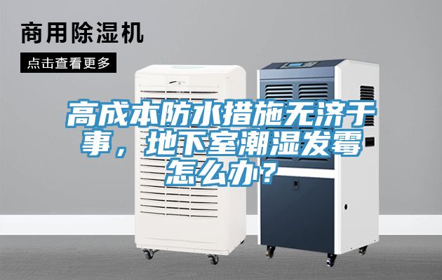 高成本防水措施無濟于事，地下室潮濕發霉怎么辦？