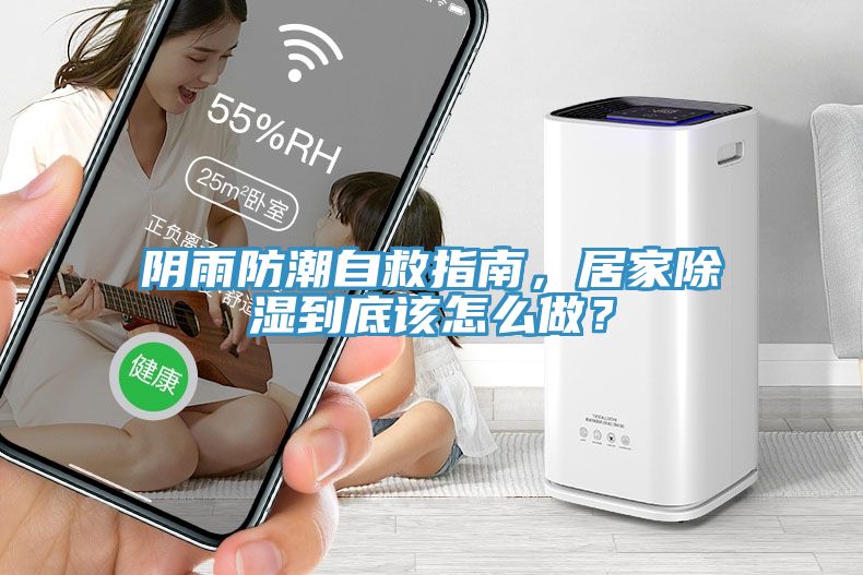 陰雨防潮自救指南，居家除濕到底該怎么做？