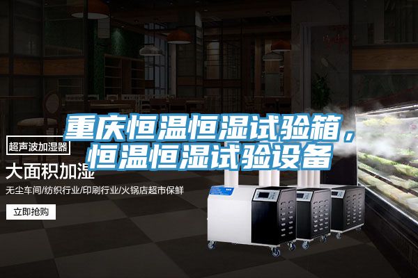 重慶恒溫恒濕試驗箱，恒溫恒濕試驗設備