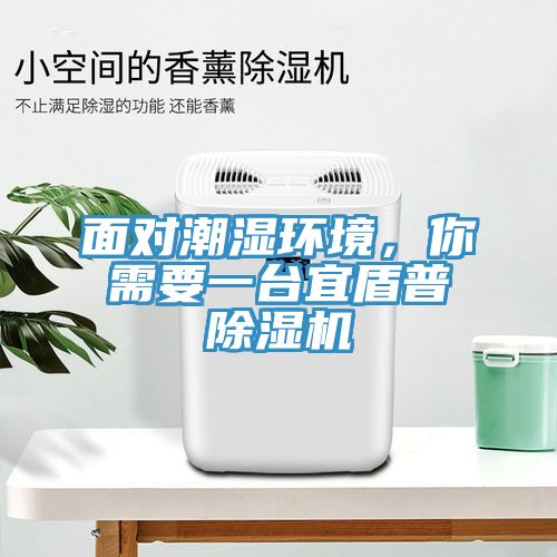 面對潮濕環境,你需要一臺宜盾普除濕機