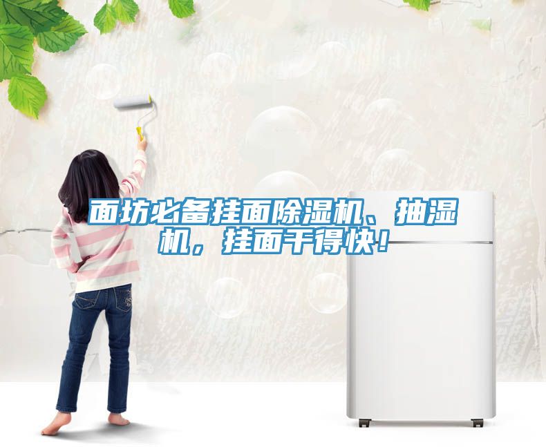 面坊必備掛面除濕機、抽濕機,掛面干得快!