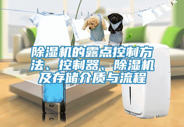除濕機的露點控制方法、控制器、除濕機及存儲介質與流程