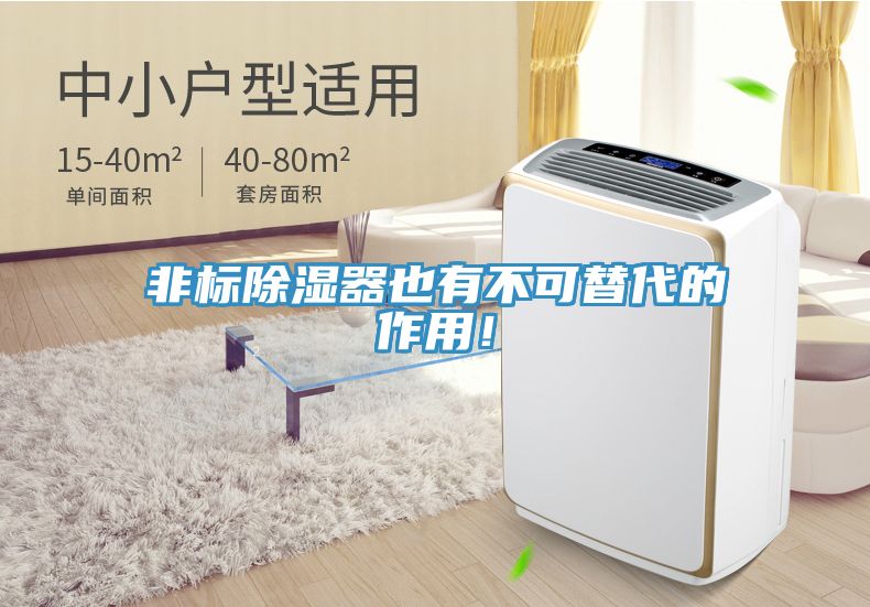 非標除濕器也有不可替代的作用!