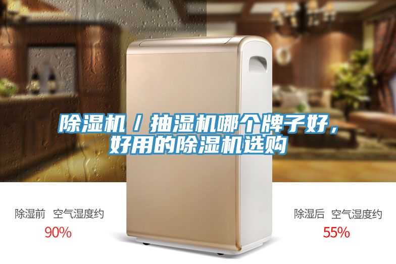 除濕機(jī)／抽濕機(jī)哪個(gè)牌子好，好用的除濕機(jī)選購(gòu)