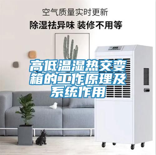 高低溫濕熱交變箱的工作原理及系統作用