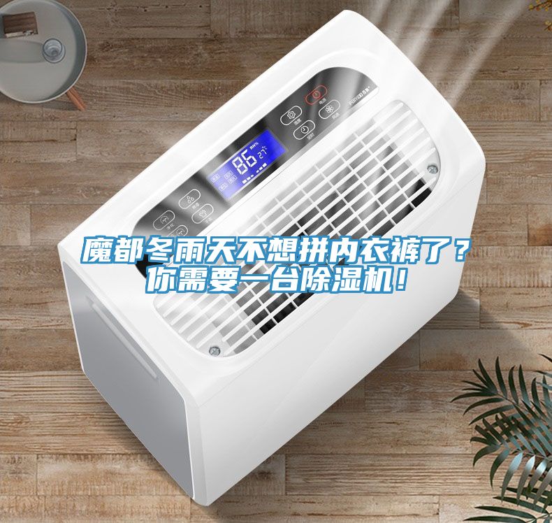 魔都冬雨天不想拼內(nèi)衣褲了？你需要一臺除濕機(jī)！