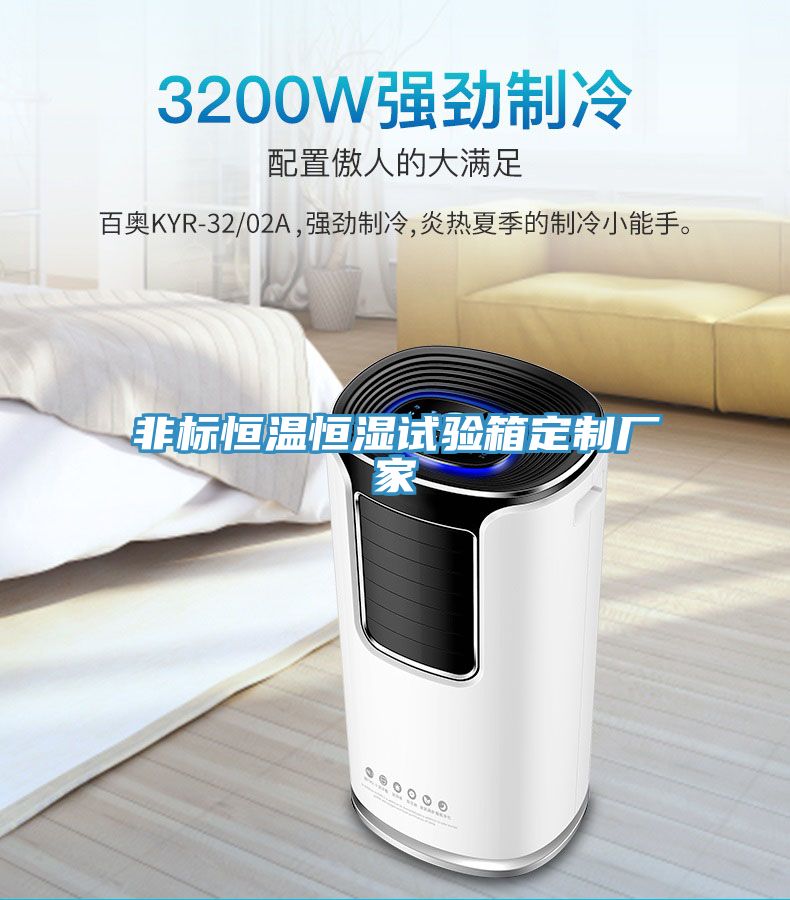 非標(biāo)恒溫恒濕試驗箱定制廠家