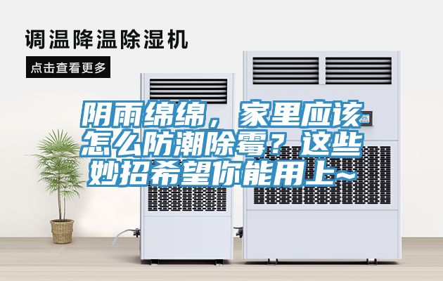 陰雨綿綿，家里應該怎么防潮除霉？這些妙招希望你能用上~