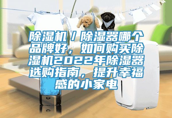 除濕機(jī)／除濕器哪個(gè)品牌好，如何購(gòu)買除濕機(jī)2022年除濕器選購(gòu)指南，提升幸福感的小家電