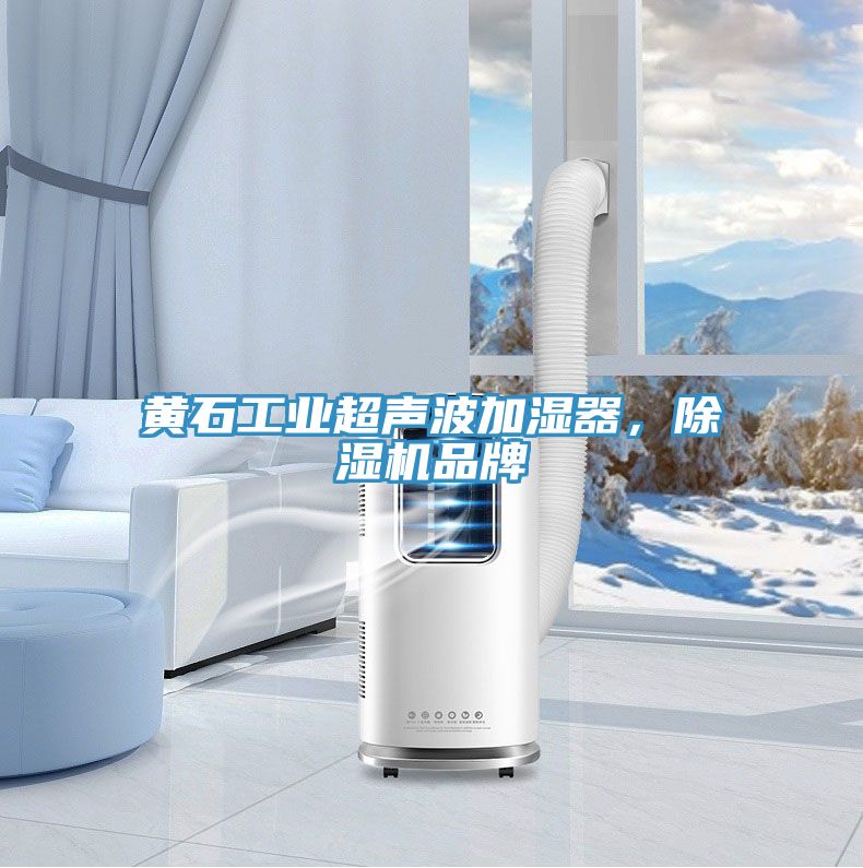 黃石工業(yè)超聲波加濕器，除濕機品牌